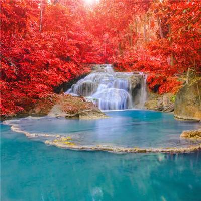 188金宝慱亚洲体育官网手机版下载